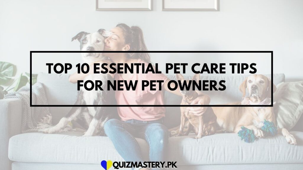 Top 10 Essential Pet Care Tips for New Pet Owners